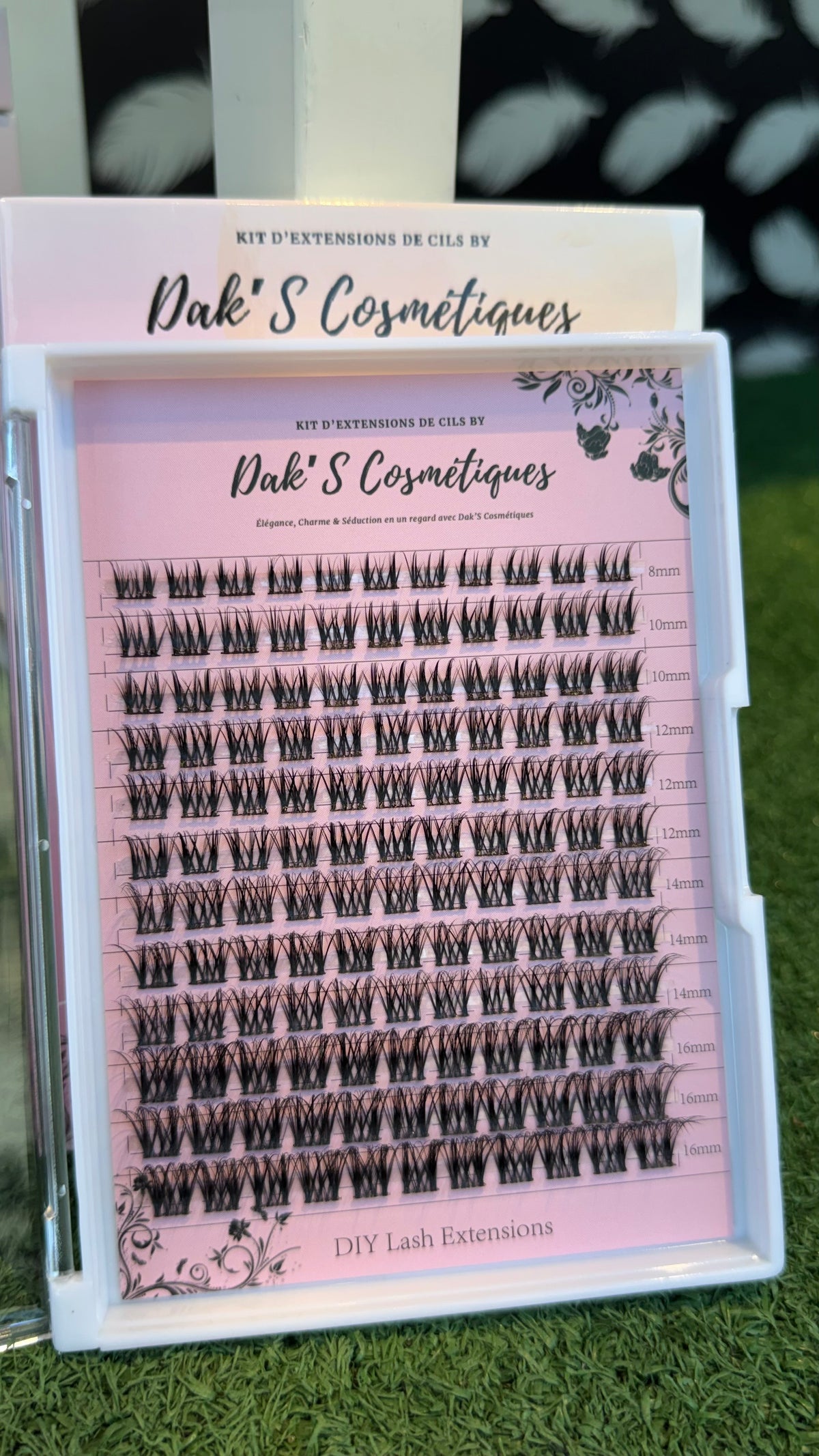 Palette Imaé